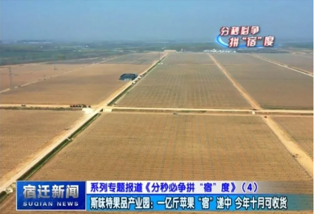 果园2.png
