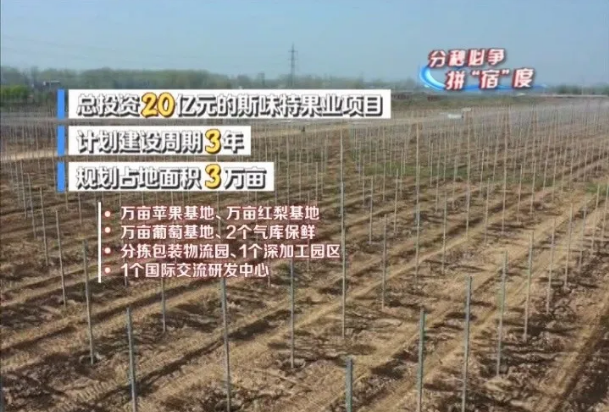 果园7.png