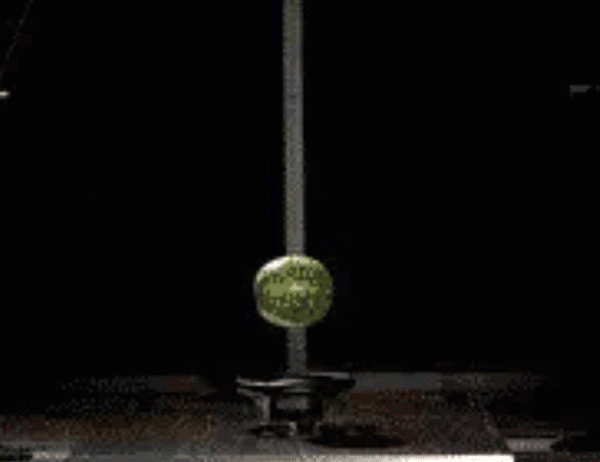 w21.jpg
