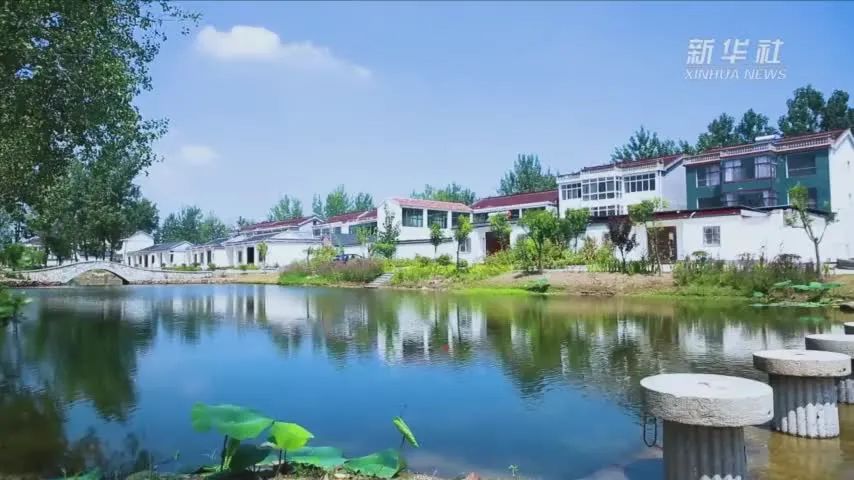 w9.jpg