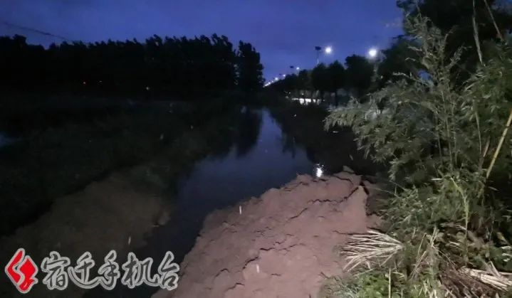 w9.jpg