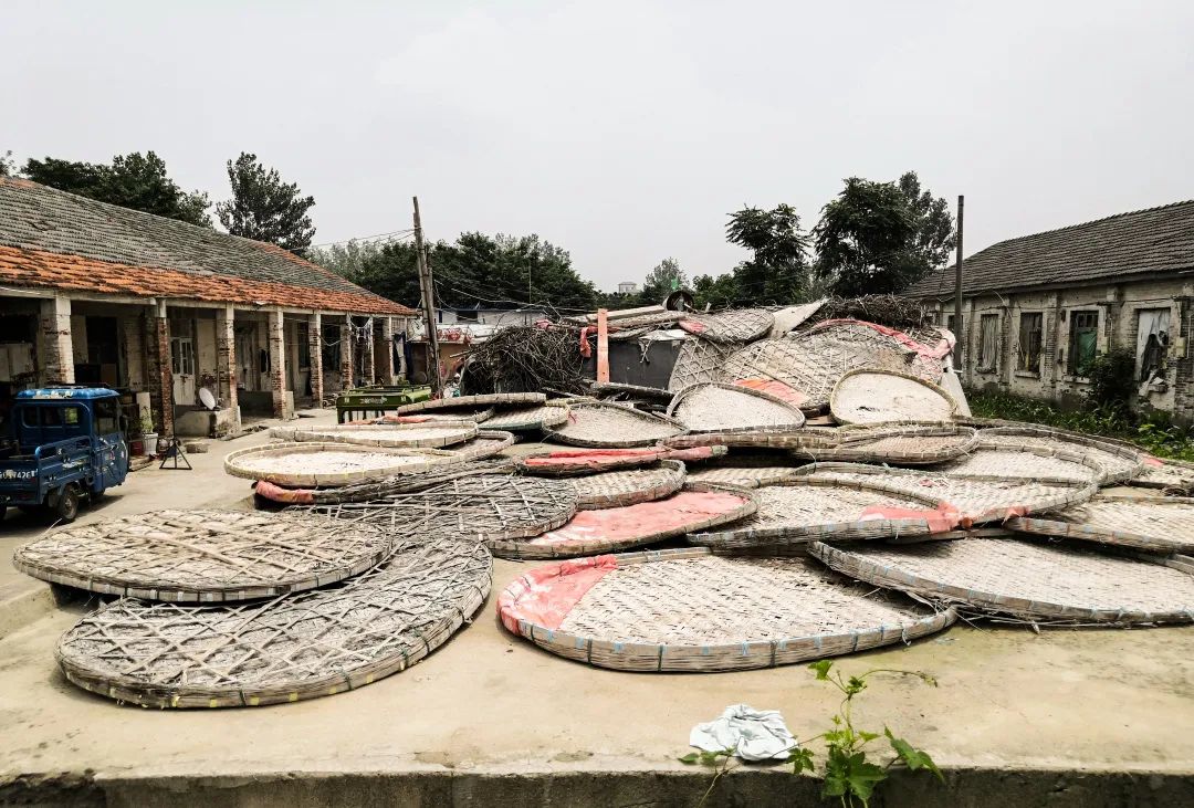 被遗忘的泗洪蚕种厂!