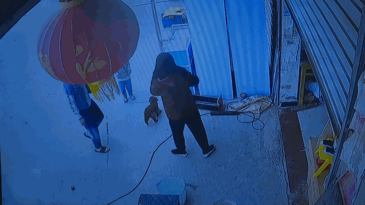 a3d0d29c-57c7-21d1-458d-b6254f6609ec.gif