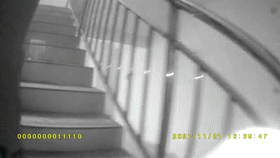 w4.jpg