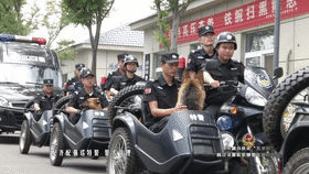 泗洪公安：以人民满意为标准  全力打造最美平安风景线