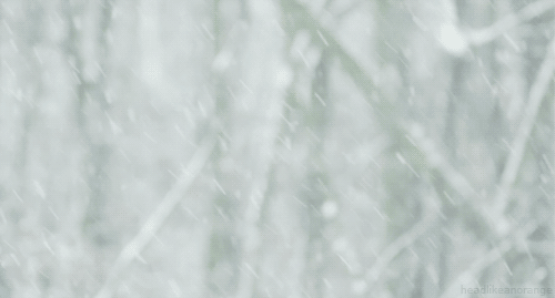 w7.jpg