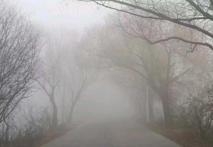 0a708fcb-3295-ba4e-9e8d-aa99e9ed787b.jpg