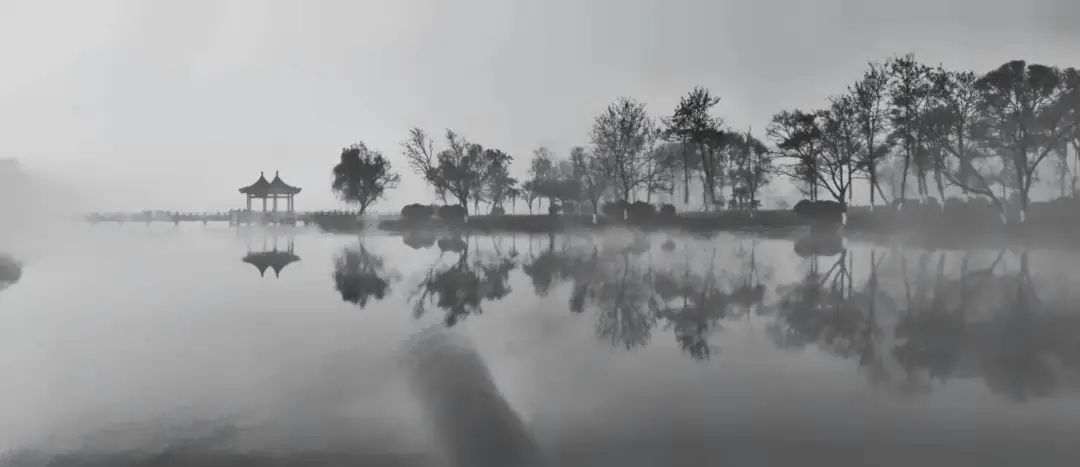 w15.jpg