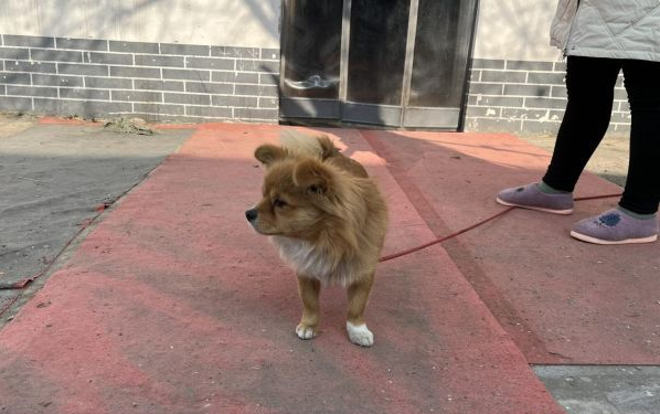 微信截图_20211224133551.png