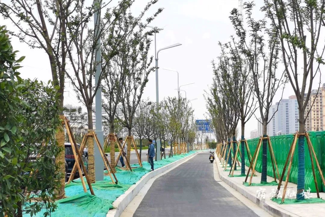 w9.jpg
