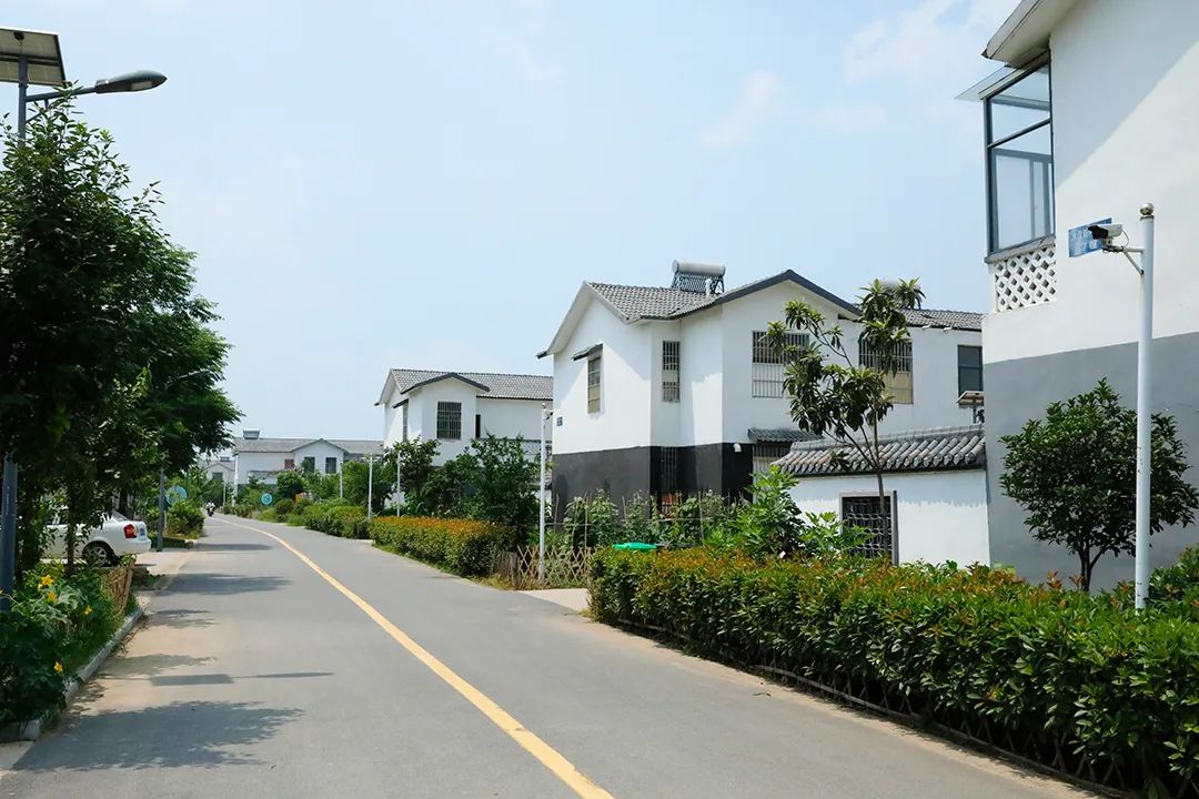 w9.jpg