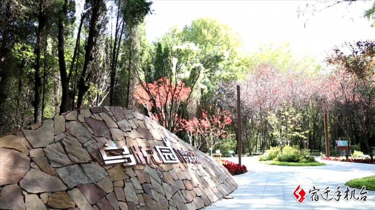 d01c8df5-54a3-d93c-ebfe-4449624f365b.jpg