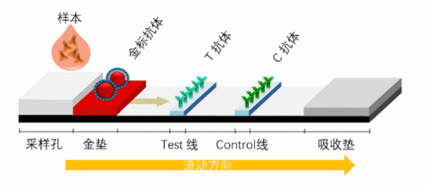 自来水测出阳性？官方回应→