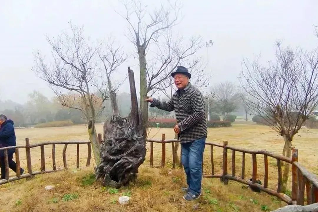 宿豫老人张用宪登上央视《焦点访谈》