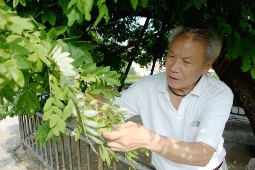 宿豫老人张用宪登上央视《焦点访谈》