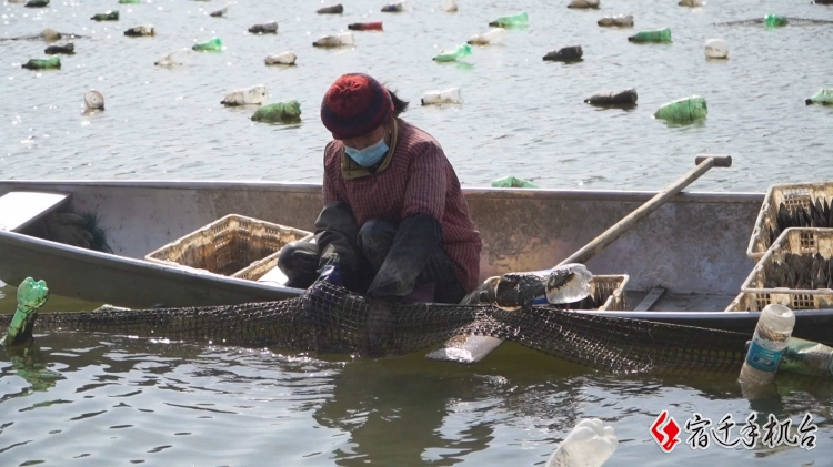 蚌农：忙种插忙布网 珍珠蚌养殖“串起”美好生活