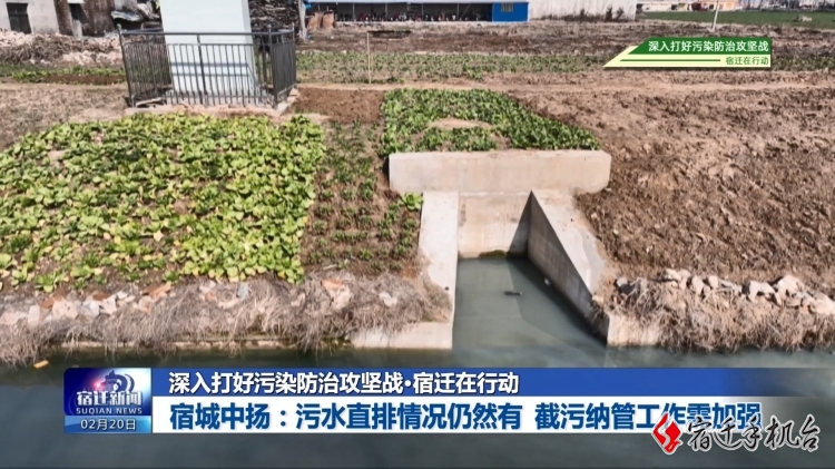 宿城中扬：污水直排情况仍然有 截污纳管工作需加强