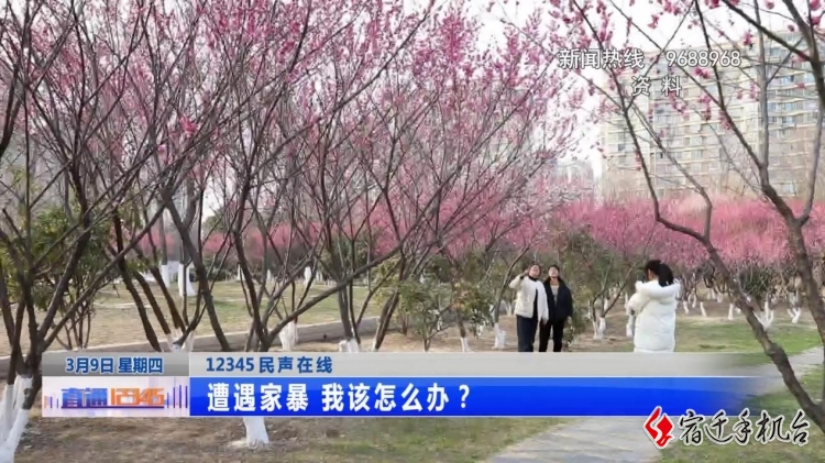 遭遇家暴怎么办？听听妇联怎么说