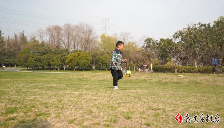 野餐、露营约起来！我市开放首批38处共享绿地