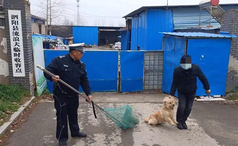 文明养犬，从牵紧文明绳开始