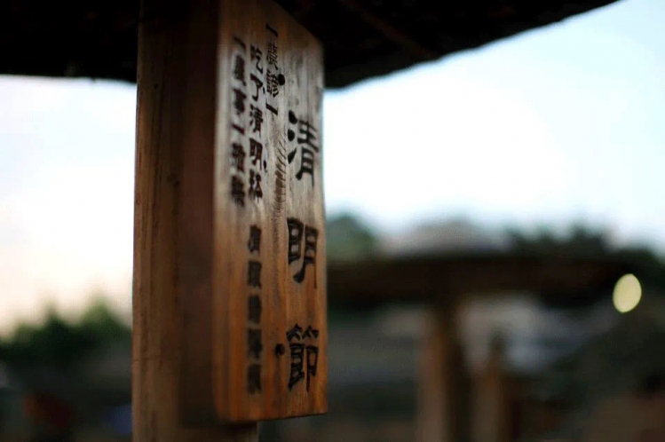 又到一年清明时：插柳祭扫寄哀思 踏青赏景放纸鸢