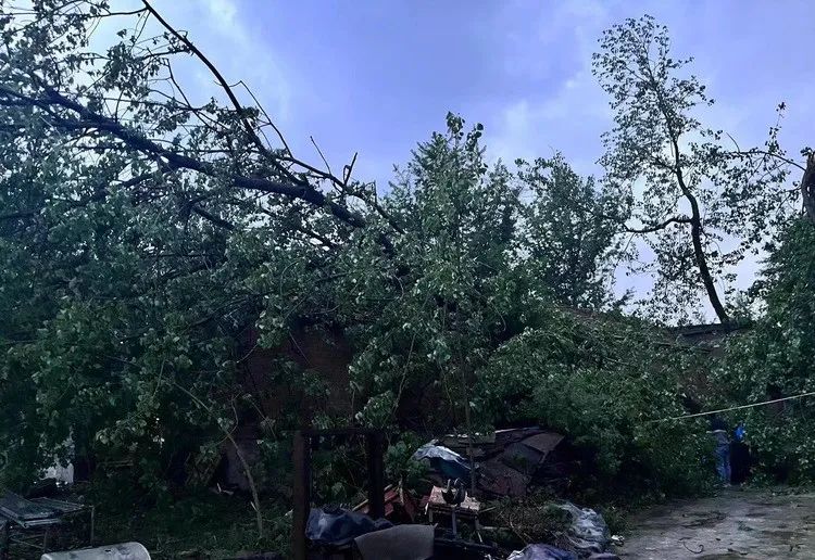 雷暴大风突袭！沭阳城区、多个乡镇被刮成这样了...