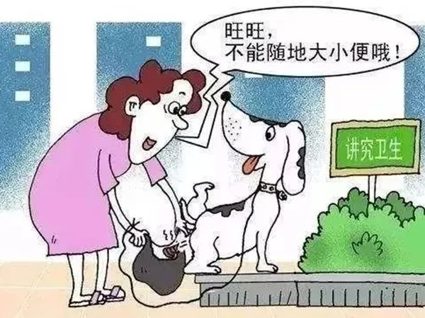 《忠犬八公》狗狗虽可爱，饲养需文明！